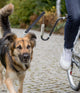 Trixie Fietsbeugel voor honden, U-vorm, M–XL, grafiet