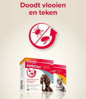 FIPROtec hond 10-20kg 4 pipetten tegen vlooien en teken