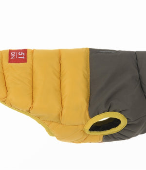 Hondenjas 51 National coat