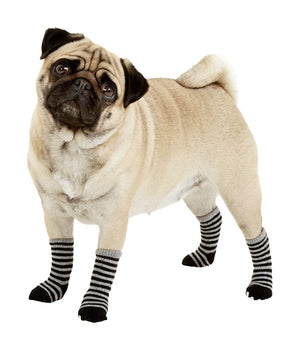 Hondensokjes set 4 stuks