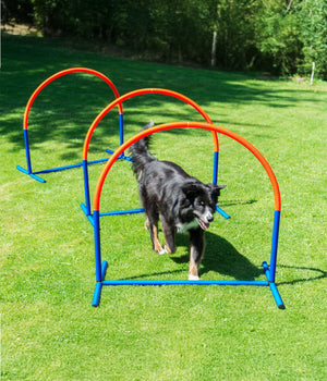 Agility Hooper kunststof