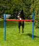 Agility Horde 86 cm hoog