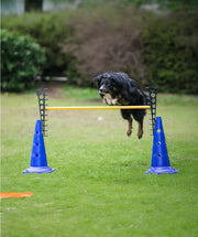 Agility Hordentrap 45 cm met maataanduiding per set 2 stuks