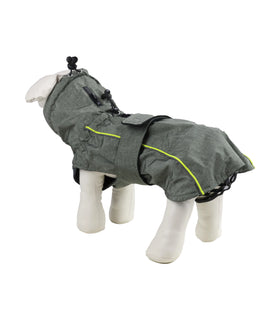 Hondenjas Dover Groen