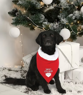 Kerst Bandana