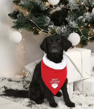 Kerst Bandana