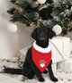 Kerst Bandana