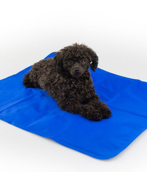 Koelmat  quick cooler - hondenmat -110x70 cm. - blauw