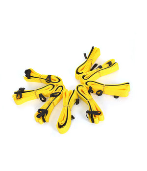 Longeer set / cirkel training  voor honden