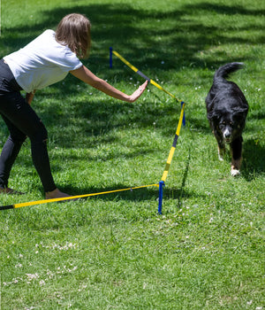 Longeer set / cirkel training  voor honden