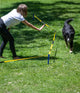 Longeer set / cirkel training  voor honden