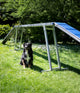 Agility Kattenloop FCI conform