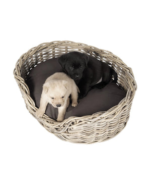 51 - Rattan - Basket -Hondenmand van riet