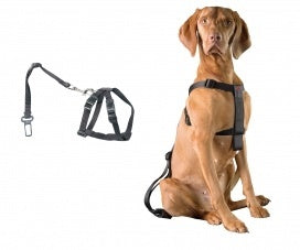 Auto Veiligheidsharnas met gordel voor hond maat S 30-60cm