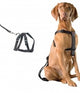 Auto Veiligheidsharnas met gordel voor hond maat S 30-60cm
