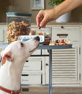 Koekjestrommel pet snack box 10x15.5x19.5 cm