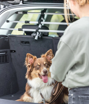 Hondenrek universeel  voor personenauto