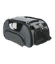 Airline Tas Wings