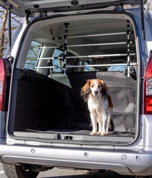 Hondenrek universeel voor bestelauto's