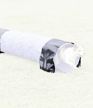Agility Zak voor Tunnel 60 cm set 2 stuks