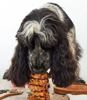 Woof Bake Dog Nuts