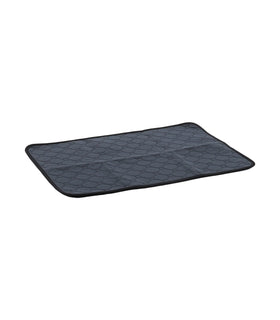 Wasbare Trainingsmat Patsy Grijs  Antislip