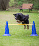 Agility Springstok Geel  100x2,5 cm. voor in pylon