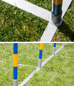 Agility  professionele FCI slalom set 12 delig