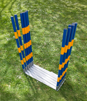 Agility  professionele FCI slalom set 12 delig