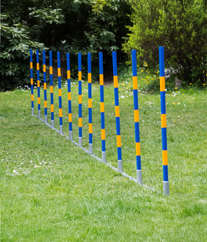Agility  professionele FCI slalom set 12 delig