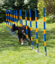 Agility  professionele FCI slalom set 12 delig