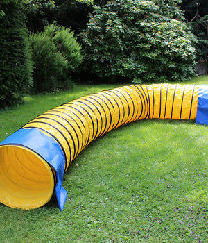 Agility  Professionele FCI tunnel geel 5 meter x 60 cm