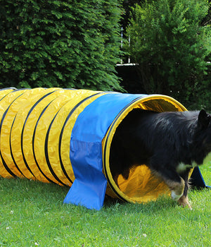 Agility  Professionele FCI tunnel geel 5 meter x 60 cm