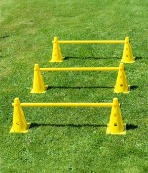 Agility  horde 2 pylonen met springstok 23,5 x80 cm.
