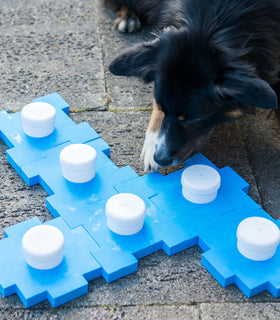 Snuffel kubus voor speurhond training