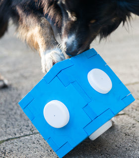 Snuffel kubus voor speurhond training
