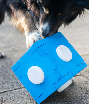 Snuffel kubus voor speurhond training