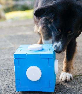 Snuffel kubus voor speurhond training