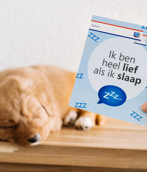 Puppypakket voor kleine en middelgrote honden