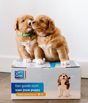 Puppypakket voor kleine en middelgrote honden