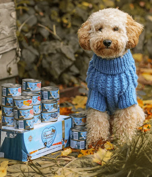 Hondenvoer Natvoer vers bereid blikje 95g Puppy Kip en Lam