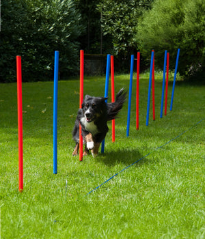Agility slalom set 12 delig