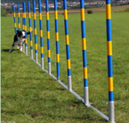 Agility  professionele FCI slalom set 12 delig
