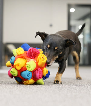 Snuffel en snackbal meerkleurig