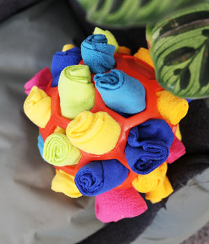 Snuffel en snackbal meerkleurig