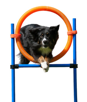 Agility Springring