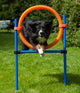 Agility Springring