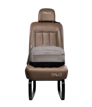 Dupree Carry On Pet Car Seat