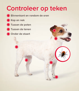 FIPROtec hond 10-20kg 4 pipetten tegen vlooien en teken