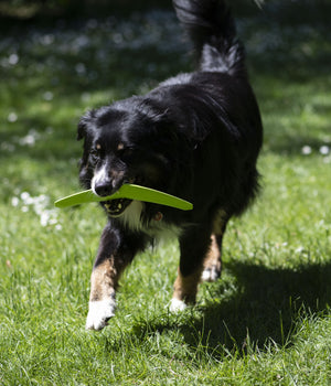 Boomerang 28 cm